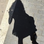 sombra de roser amills