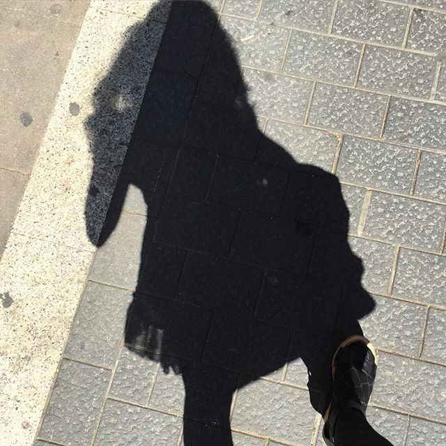 sombra de roser amills