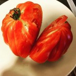 Aquí hay tomate, #ñamñam :)) - Roser Amills, escritora mallorquina