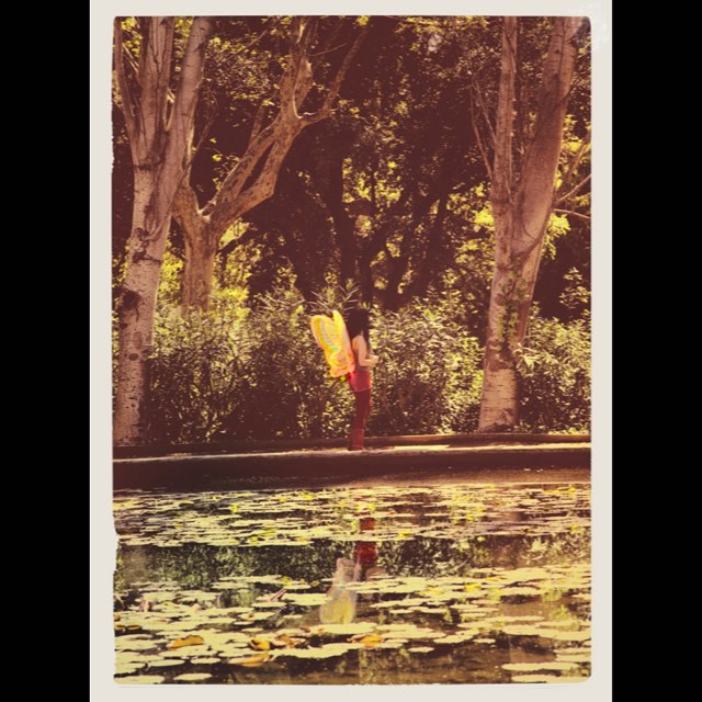 Roser Amills hada por guy aelbrecht