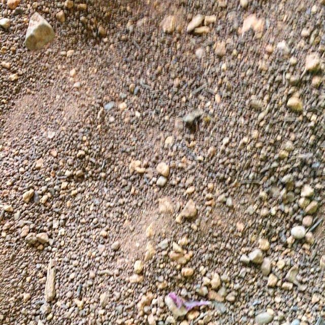 tierra mallorquina en el escritorio de roser amills