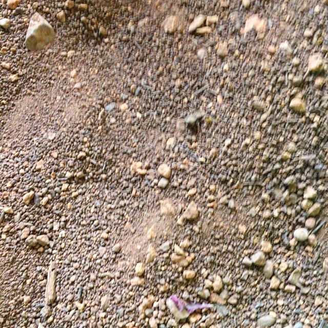 tierra mallorquina en el escritorio de roser amills