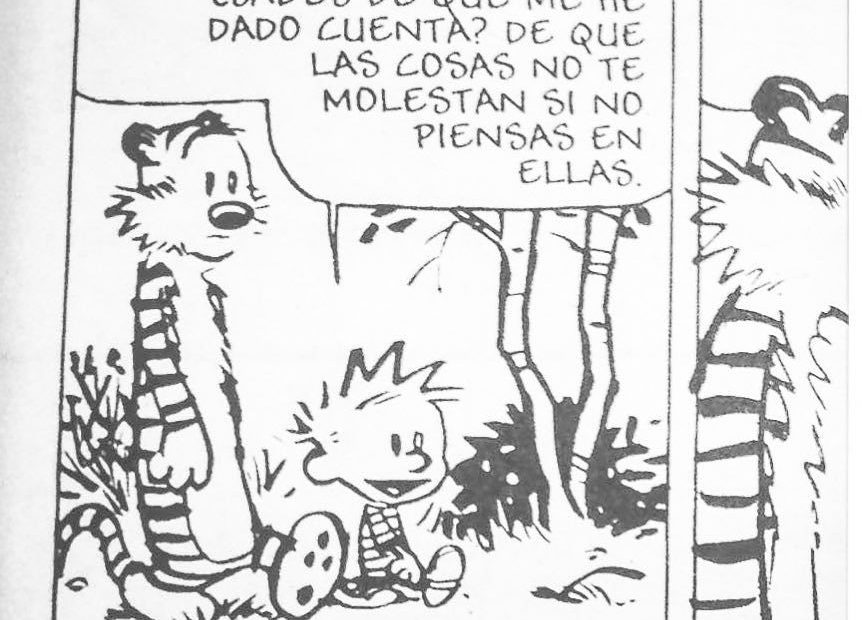 Vineta Calvin And Hobbes