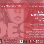 Divendres vinent seré a Sant Cugat, vindreu? #festivaldepoesia #montserratabello - Roser Amills, escritora mallorquina