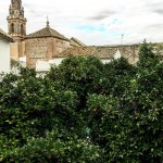 Vistas desde mi habitación ;)) #ecija #ecijana - Roser Amills, escritora mallorquina