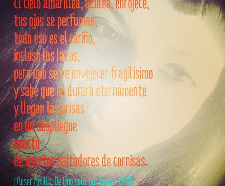 Poema De Roser Amills El Cielo Amarillea