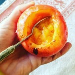 "Que me gusta comer fruta podrida es un invento de la prensa" Amélie Nothomb - Roser Amills, escritora mallorquina