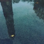 La plaza parece un lago! - Roser Amills, escritora mallorquina