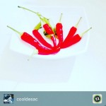 Hot hot hot!!! - Roser Amills, escritora mallorquina