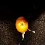 Hoy #zumodenaranja que es temporada de ;)) - Roser Amills, escritora mallorquina
