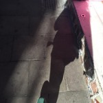 Os dejo mi sombra de colores #sinfiltros - Roser Amills, escritora mallorquina