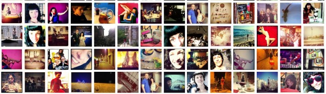 Banner Roser Amills 2013