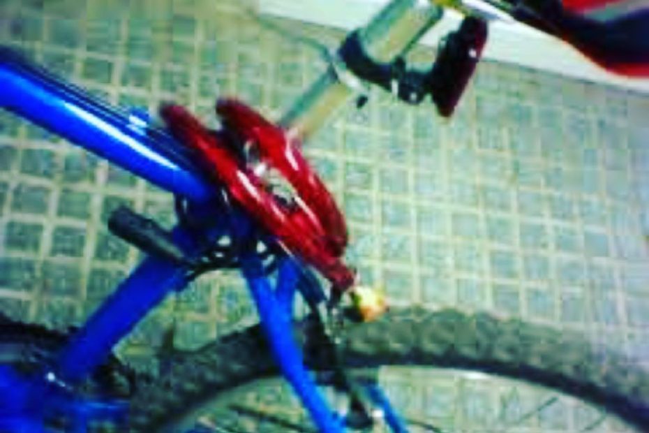 bicicleta de roser amills