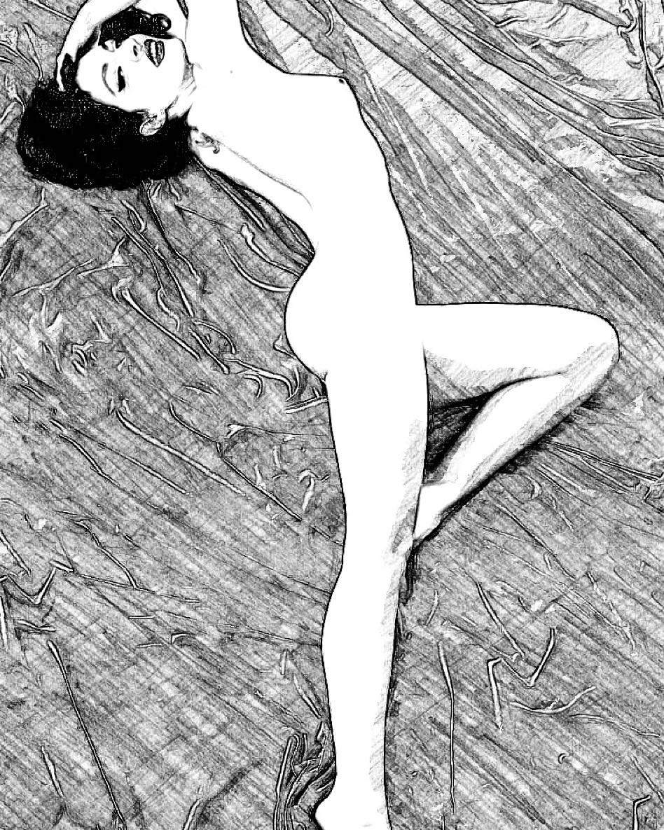 ilustracion roser amills desnuda