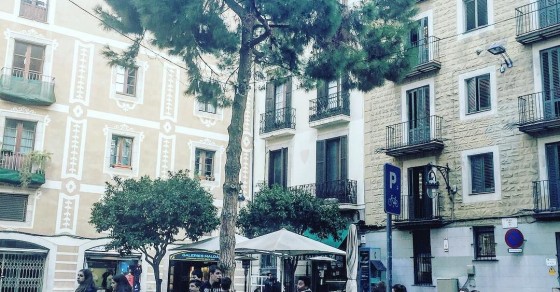 Repito foto, otro lunes a dar clases de #redessociales por aquí :)) - Roser Amills, escritora mallorquina