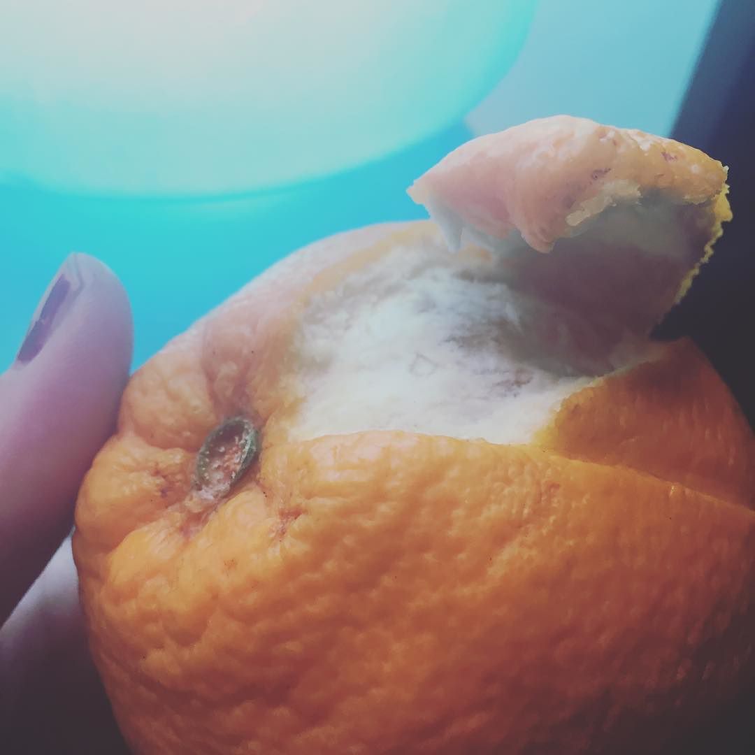 Algú més vol taronja?