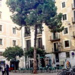 Bona tarda a tothom!! - Roser Amills, escritora mallorquina