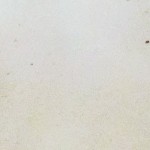 Pecas - Roser Amills, escritora mallorquina
