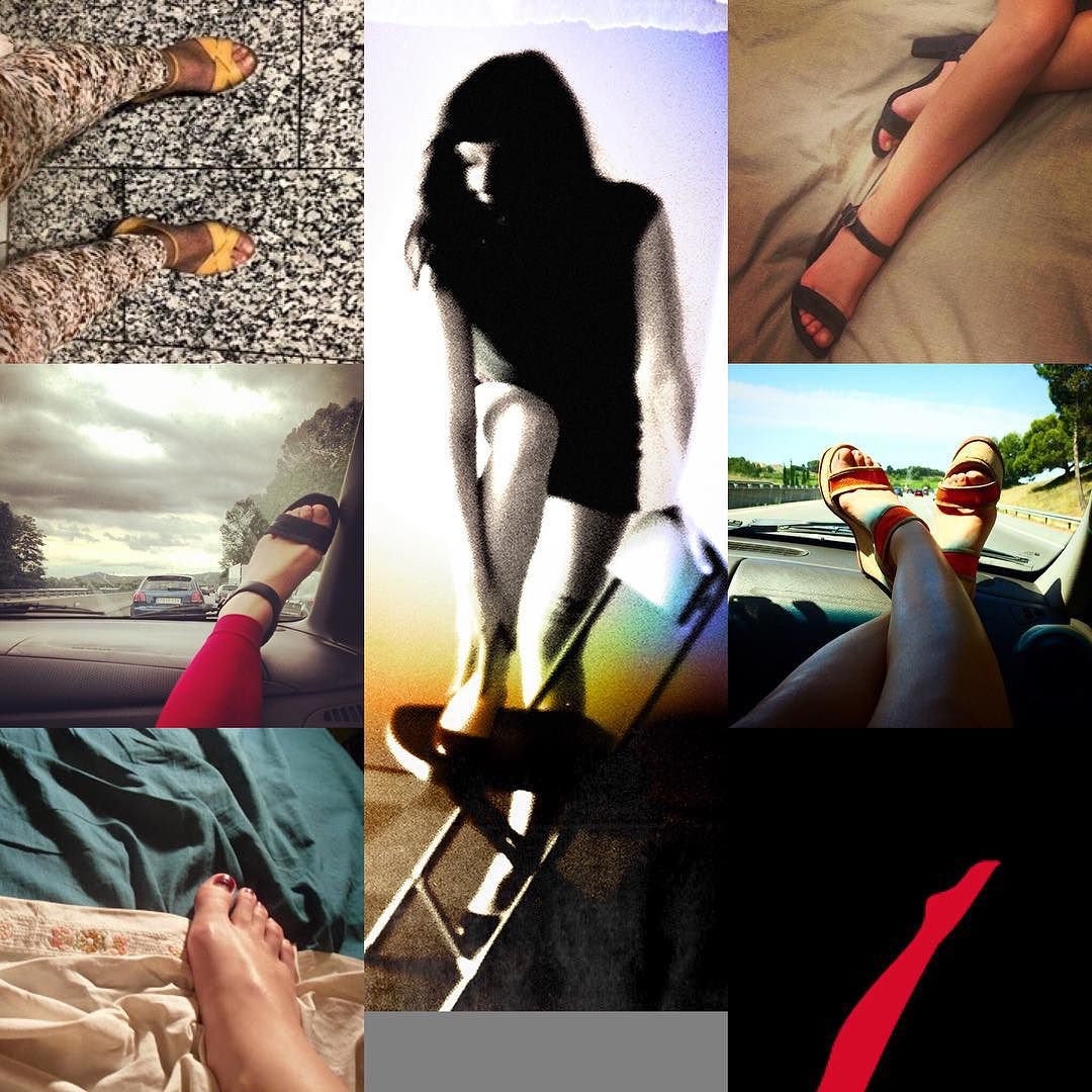 pies de roser amills