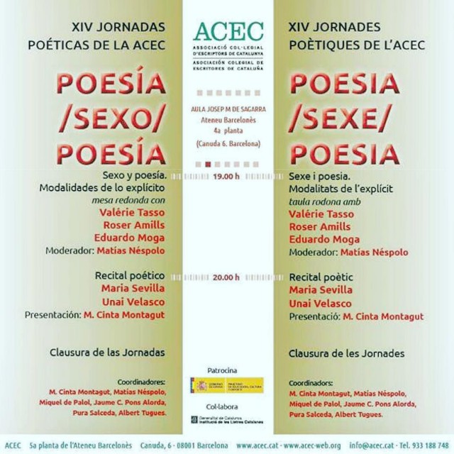 Roser Amills jornadas de la ACEC, conferencia