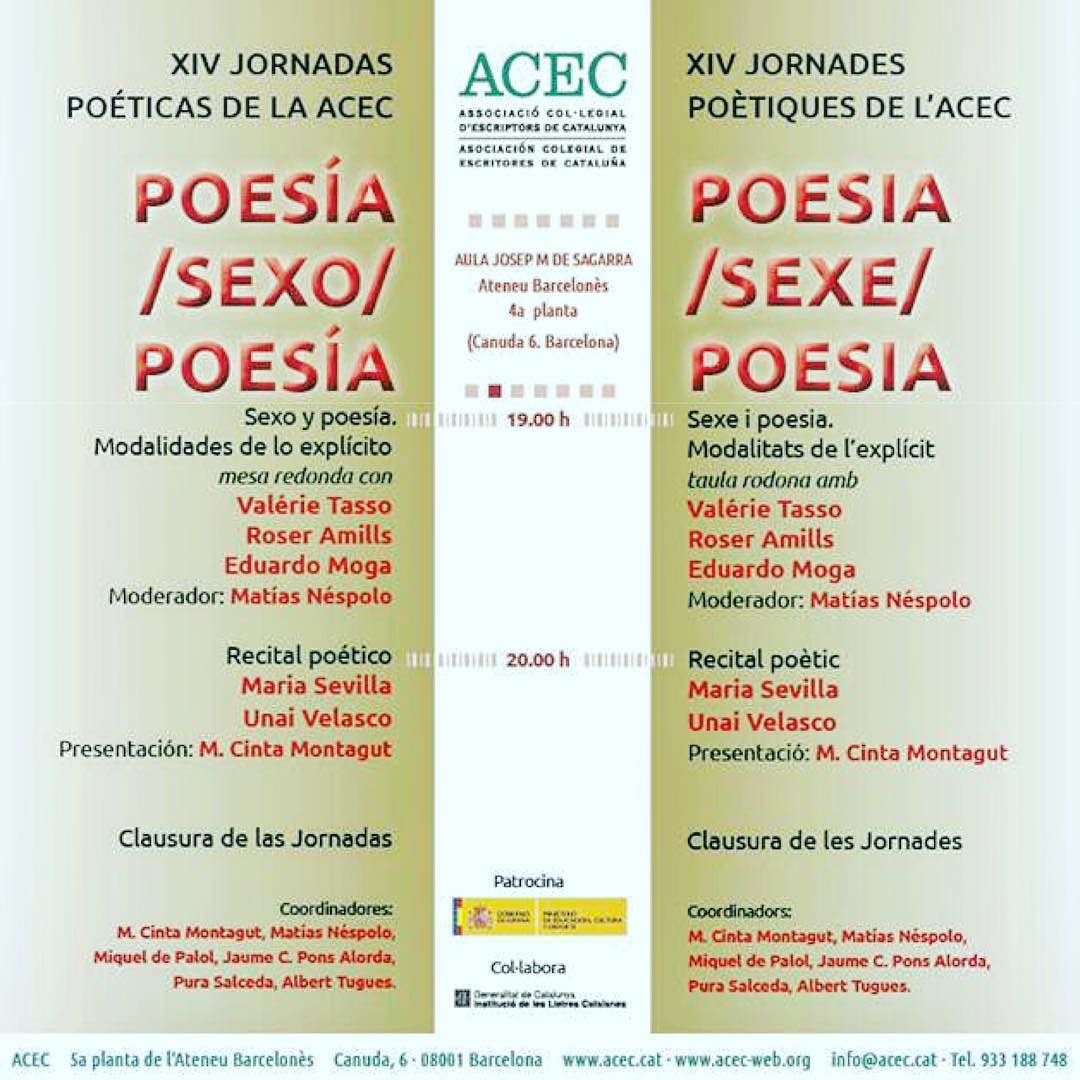 Roser Amills jornadas de la ACEC, conferencia