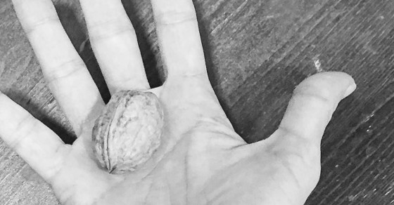"Podría estar encerrado en una cáscara de nuez y sentirme rey de un espacio infinito" #williamshakespeare - Roser Amills, escritora mallorquina