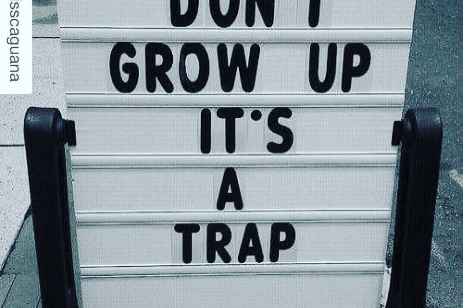 Don T Grow Up It A Trap