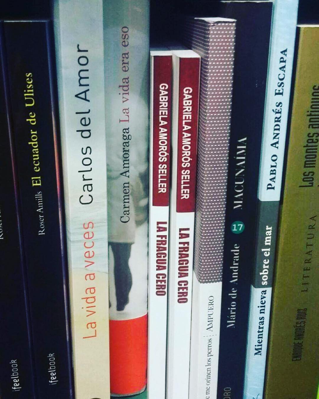 el ecuador de ulises, novela de roser amills, ya en librerías