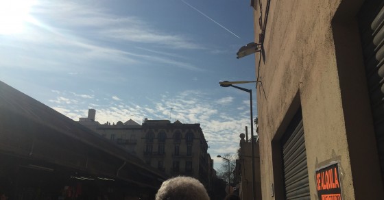 Un paseo primaveral de enero 2016 - Roser Amills, escritora mallorquina