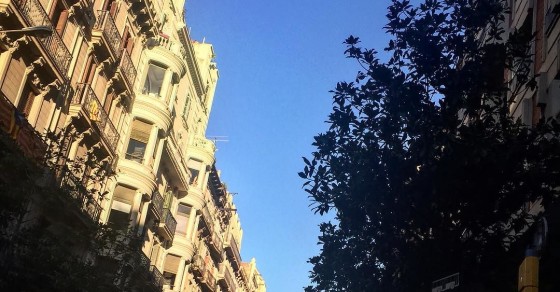 El arzobispo de Barcelona pidió ayer a los sacerdotes que recen para atraer la lluvia - Roser Amills, escritora mallorquina