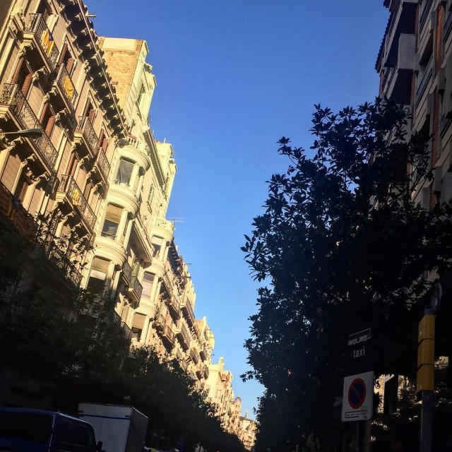Cielo azul despejado sobre una calle con edificios y árboles