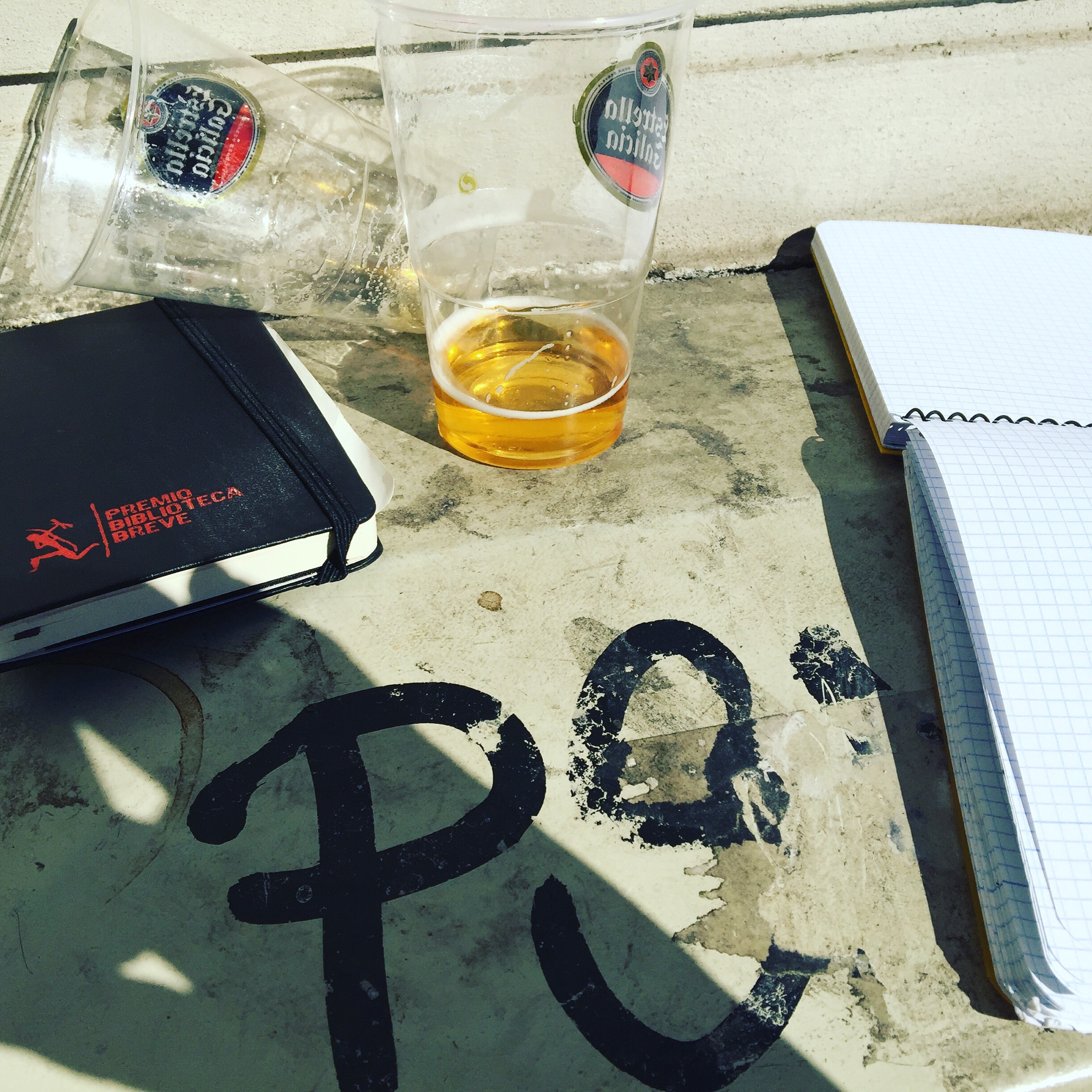 Cuaderno De Roser Amills