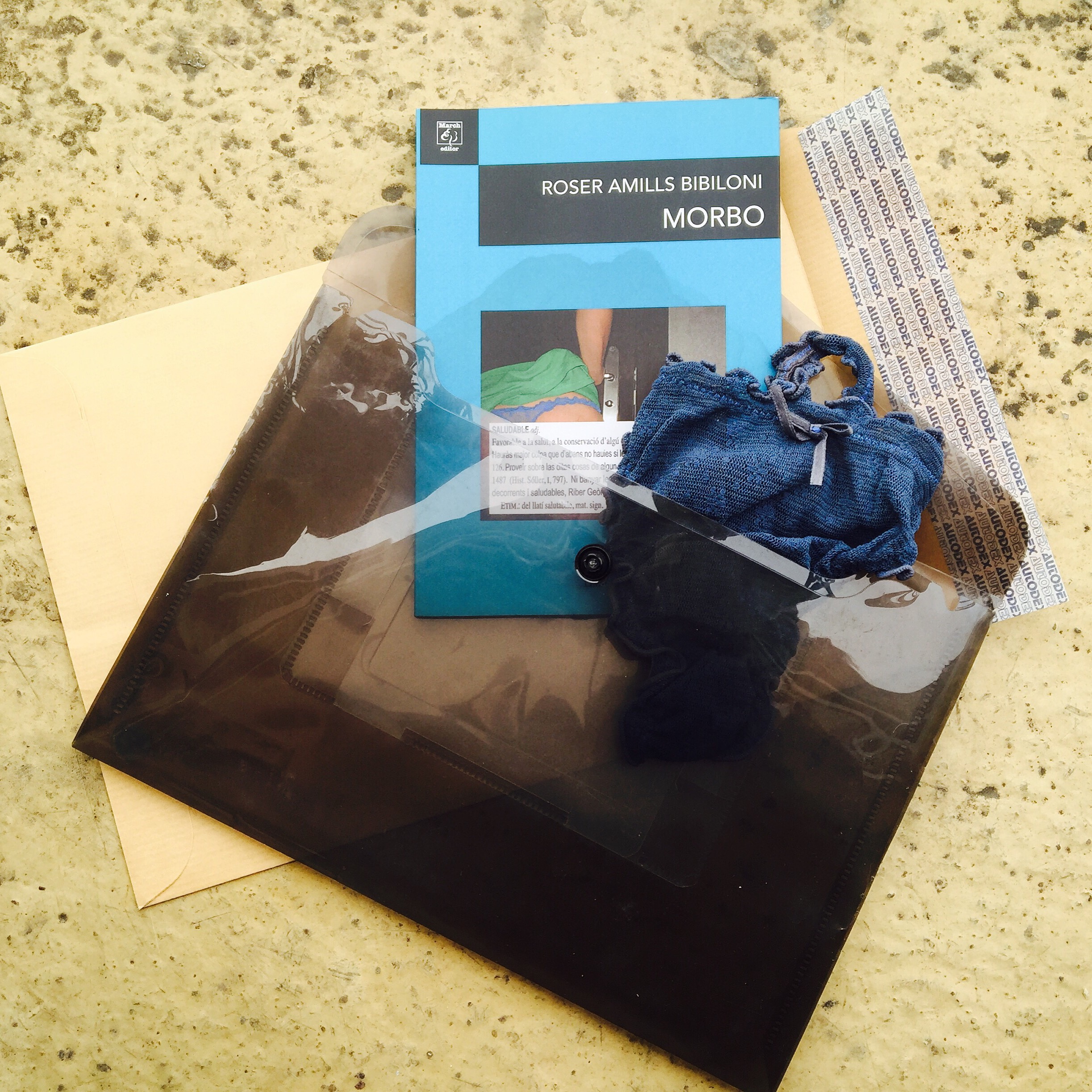 Libro Morbo de Roser Amills