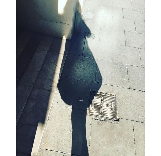 sombra de roser amills