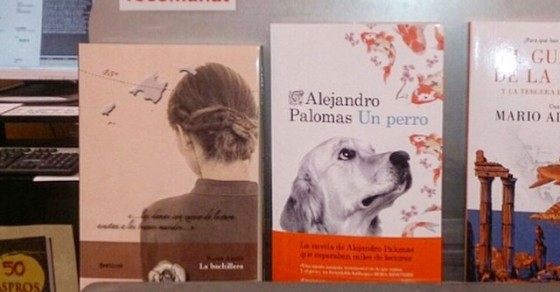 A Lleida ja recomanen #labachillera a la llibreria Punt de Llibre @puntllibre :)) Ets una dona #conexcesodelectura? - Roser Amills, escritora mallorquina