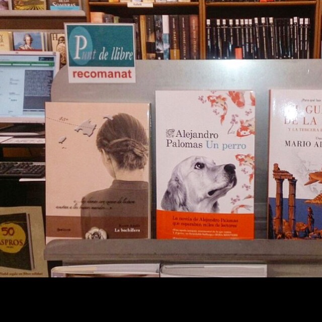 A Lleida ja recomanen #labachillera a la llibreria Punt de Llibre @puntllibre :)) Ets una dona #conexcesodelectura?
