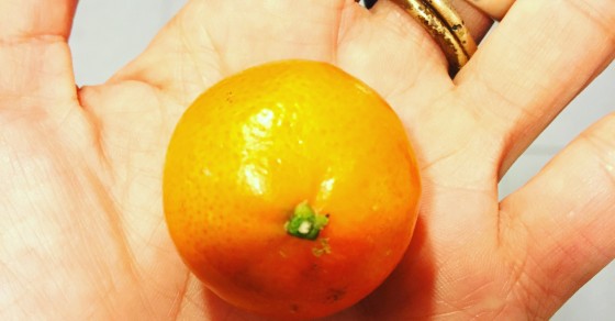 Mandarina mini, una golosina genial :)) - Roser Amills, escritora mallorquina
