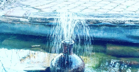 "Lo que sabemos es una gota de agua; lo que ignoramos es el océano" Newton - Roser Amills, escritora mallorquina