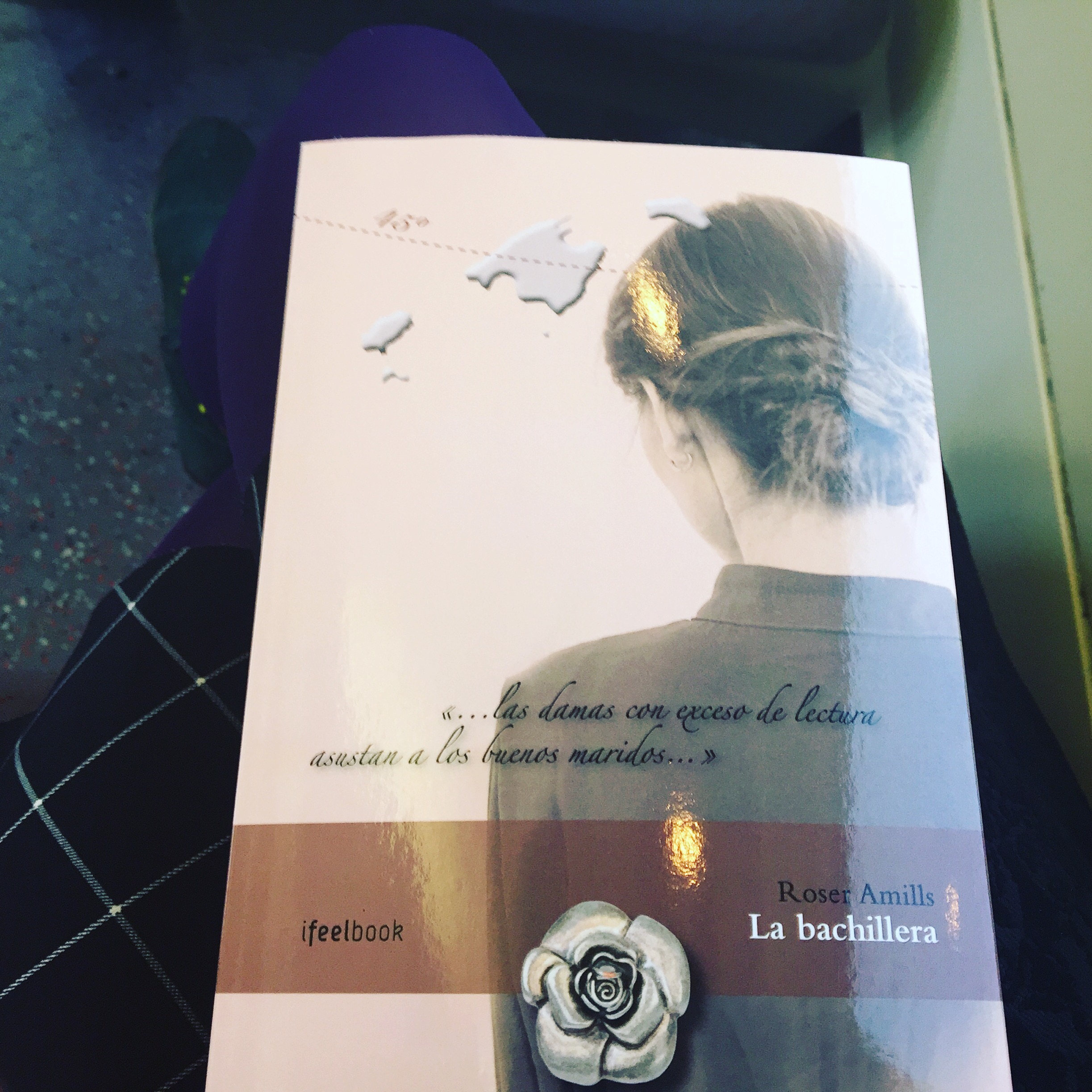 Novela La bachillera de Roser Amills