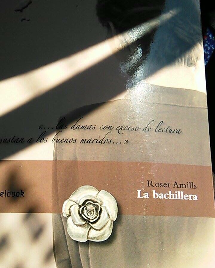 Novela La bachillera de Roser Amills