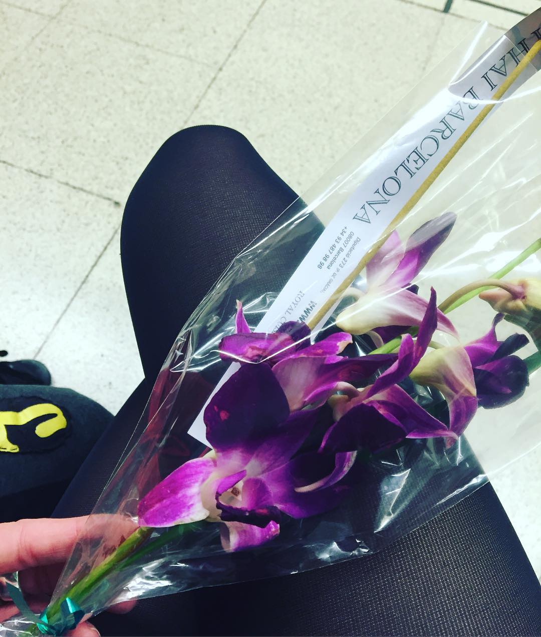 Orquídea morada envuelta en celofán sobre las rodillas de Roser Amills