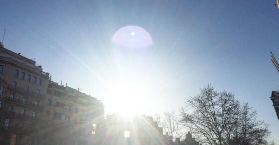 Sol a contraluz entre los edificios de una plaza de Barcelona, con árboles sin hojas