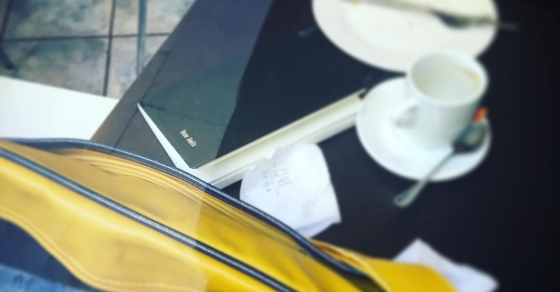 cuadernos de roser amills