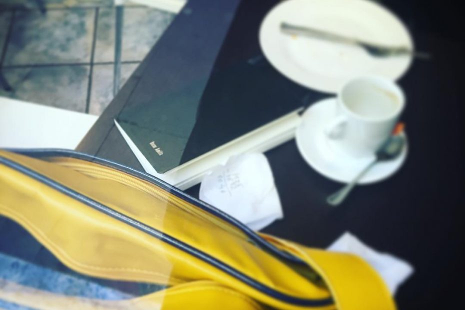 cuadernos de roser amills