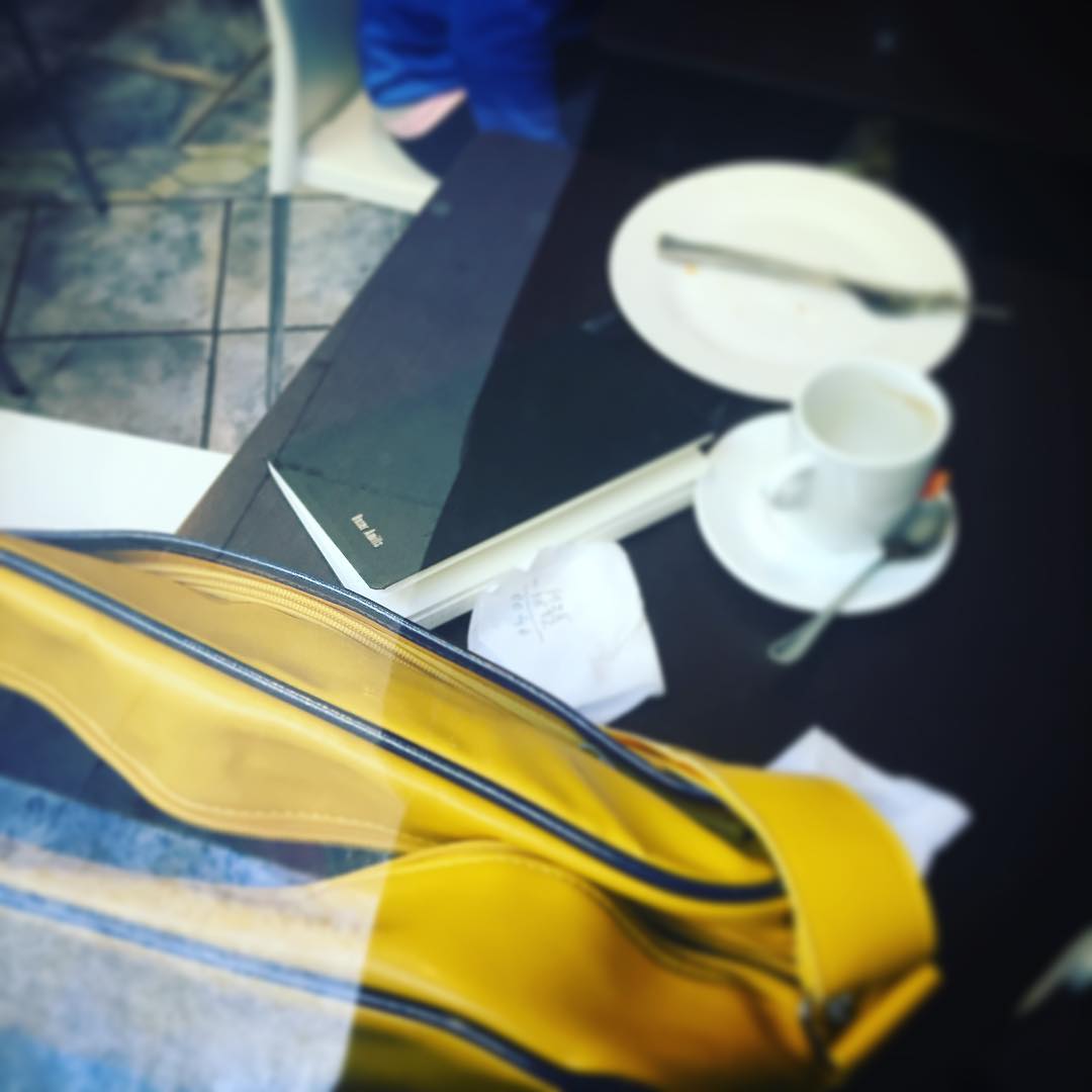 cuadernos de roser amills