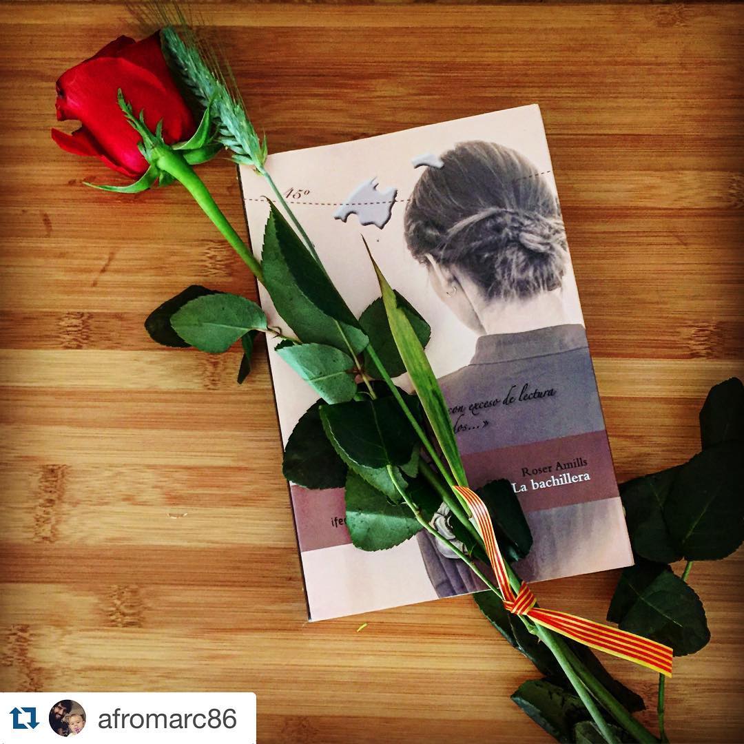 La bachillera, Sant Jordi de Roser Amills