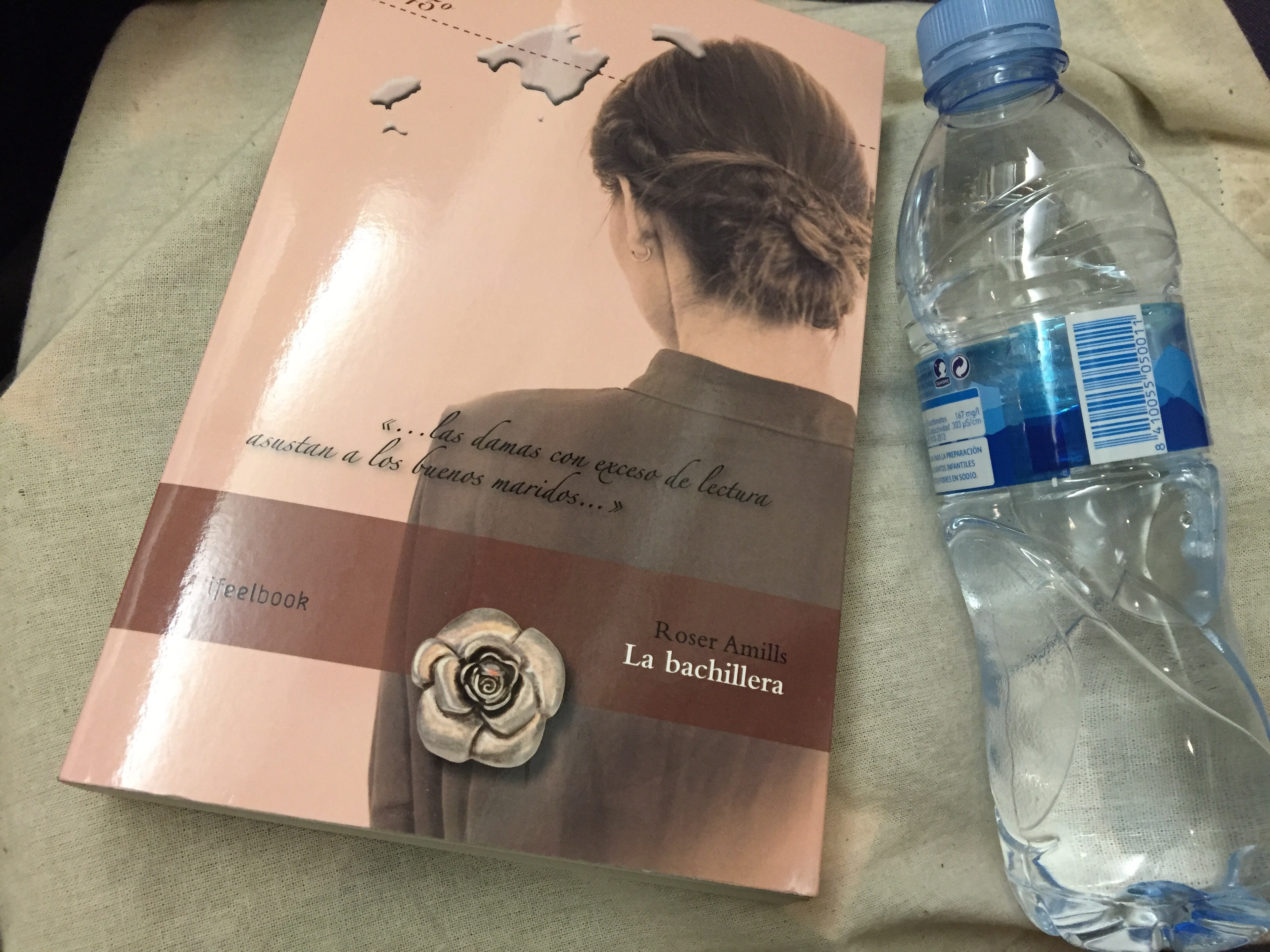 Novela La bachillera de Roser Amills