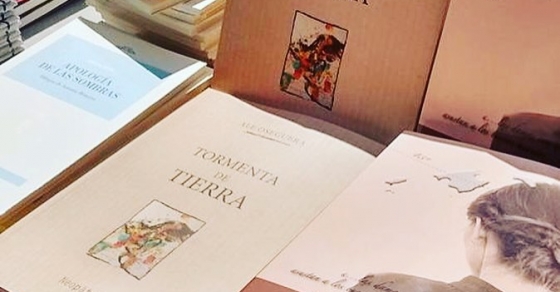 novela la bachillera de roser amills sant jordi