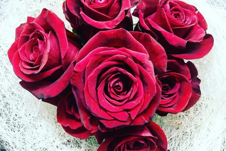 Ramo de rosas rojas sobre un fondo de fibras blancas, regalo de Autors de Cornellà