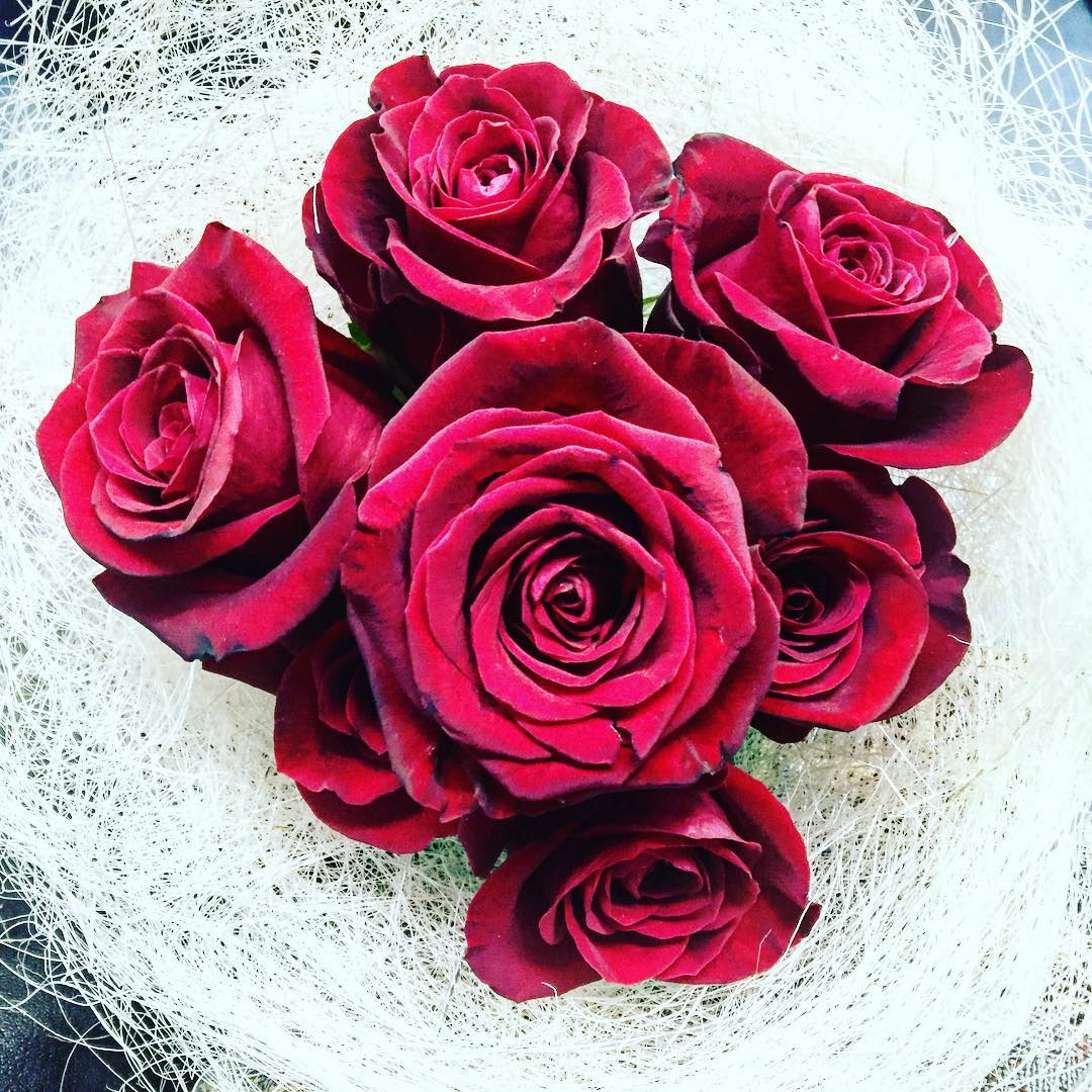Ramo de rosas rojas sobre un fondo de fibras blancas, regalo de Autors de Cornellà